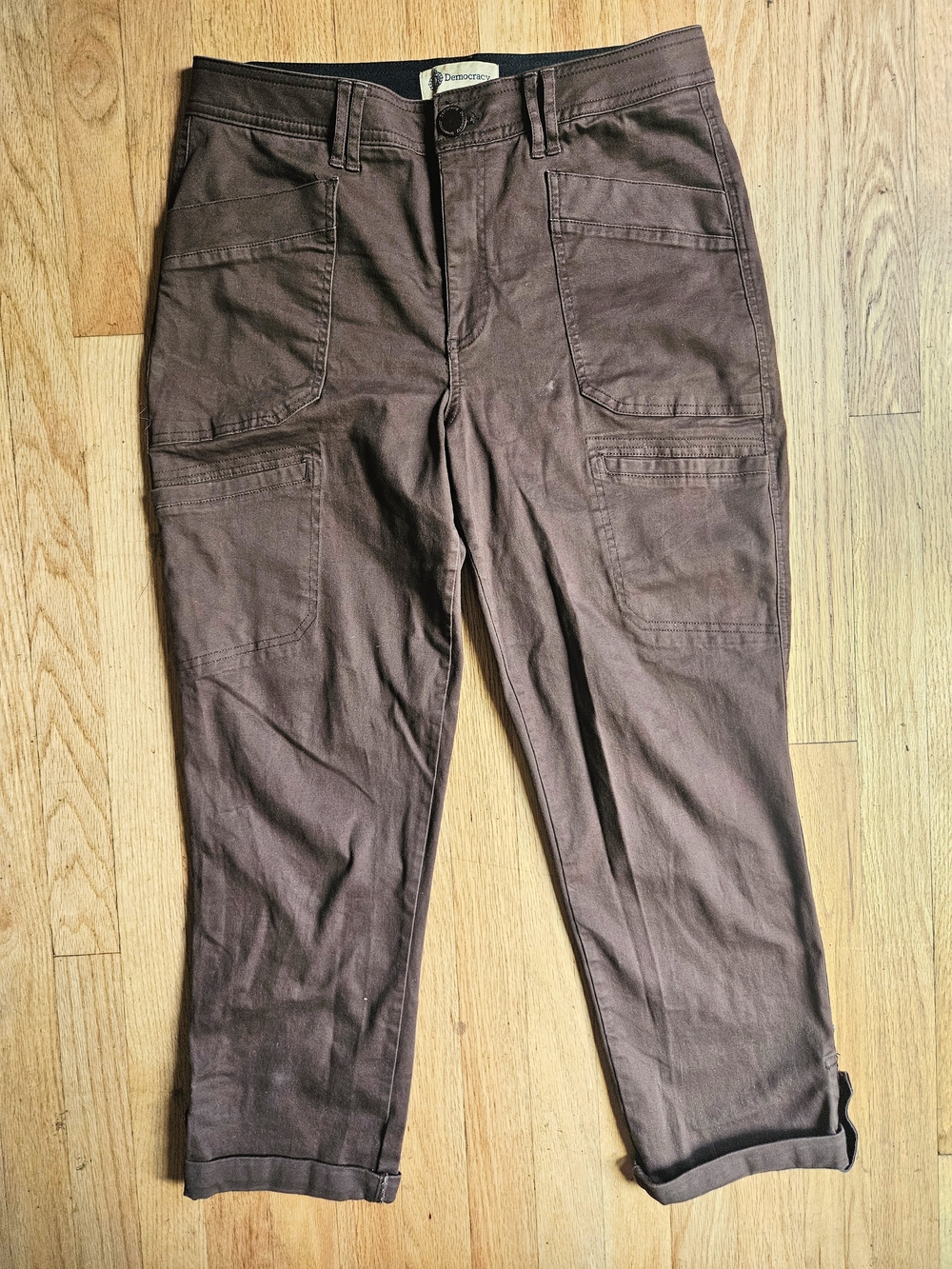 Democracy Cargo Pants in Dark Brown